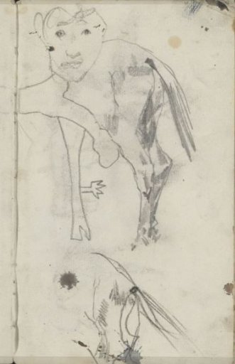 Two horse hindquarters and a face
