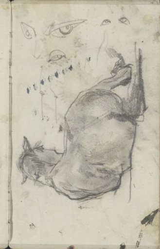 Study sheet with eyes and a recumbent horse