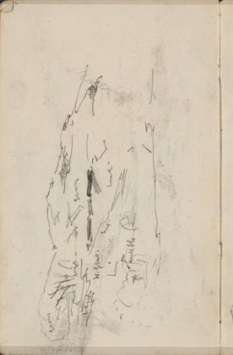 Dune landscape
