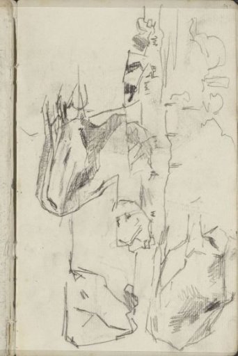 Recumbent Cows