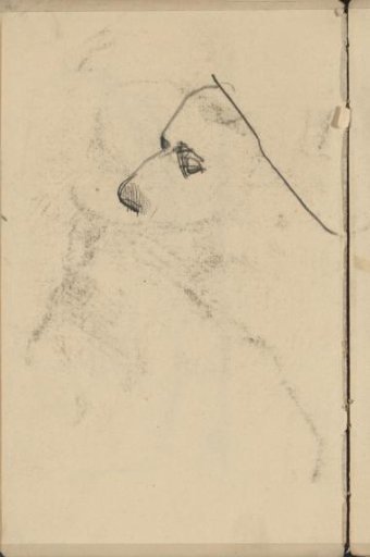 Profile View