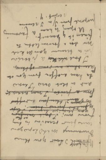 Draft for a letter