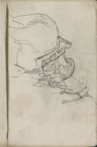 Saddled horse