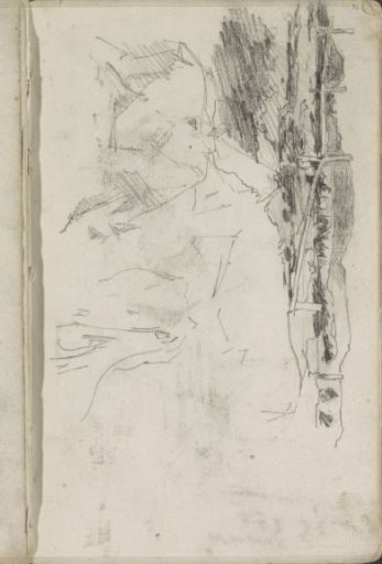 Landscape with grazing cows