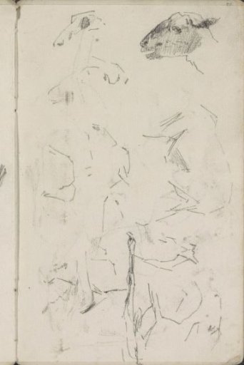 Animals, possibly sheep or goats