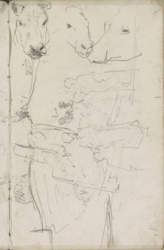 Figures on a beach near a barge and cow skulls