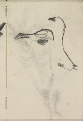 Two studies of a horse