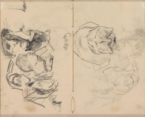 Study Sheet with Figures and Cats