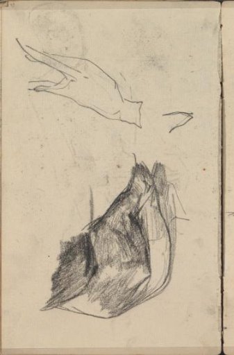 Cat and a Wild Boar's Head