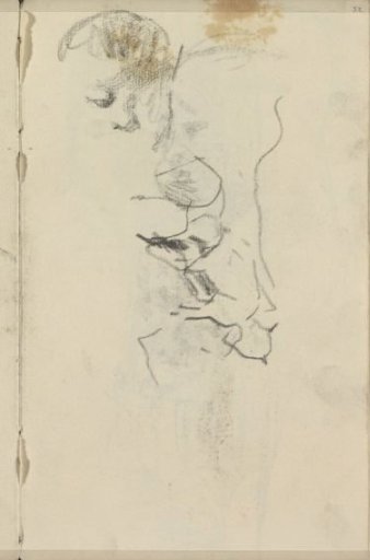 Animals, possibly cows
