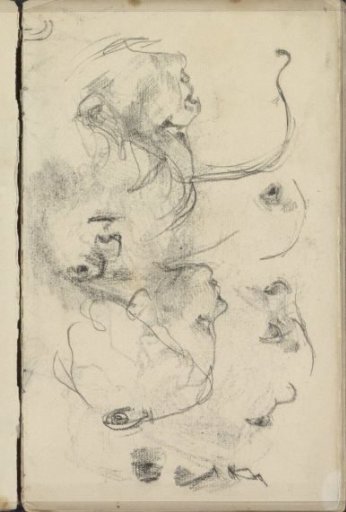 Study Sheet with Children's Heads