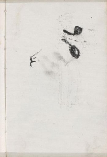 Nose and eyes of a cat