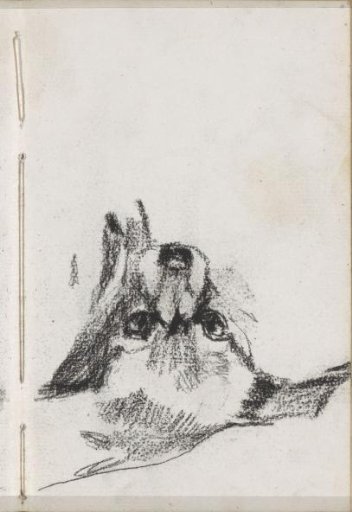 Head of a dog
