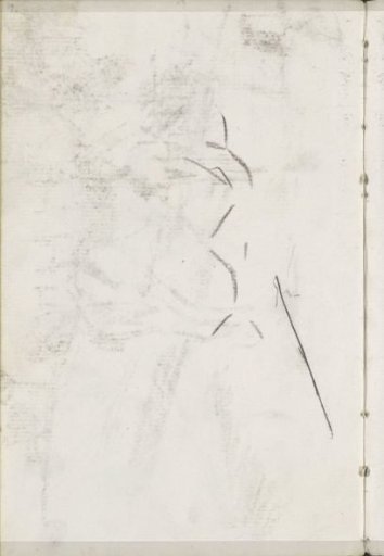 Study