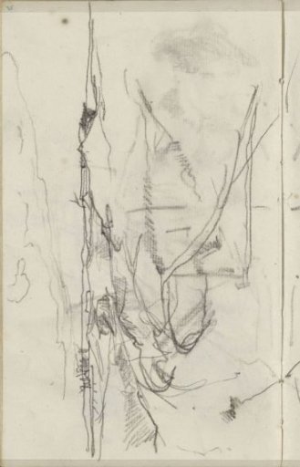 Dune landscape