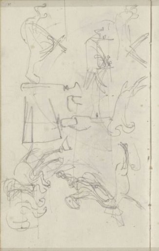 Motion studies of a horse