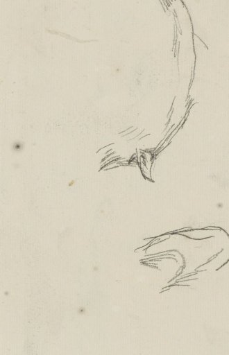 Two studies of a wild boar