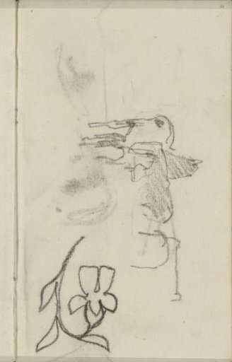 Horses and a flower