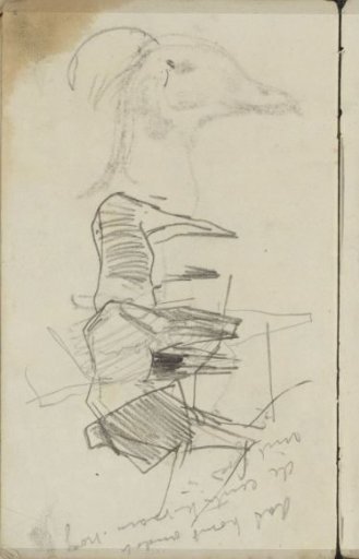 Horses