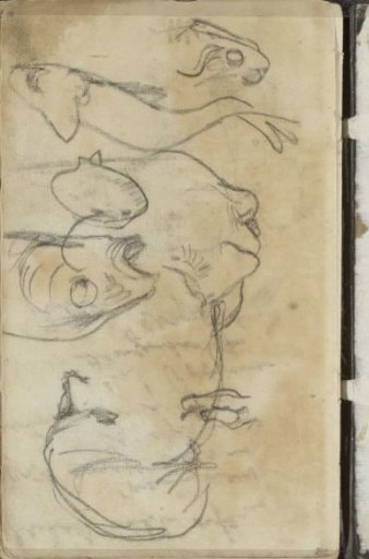 Study Sheet with Heads, Fishes and Frogs