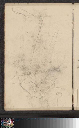 Study