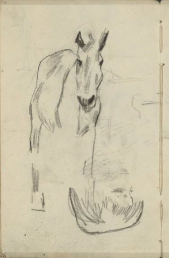 Head in profile and a horse