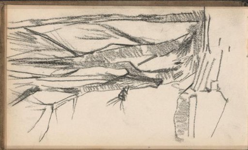 Landscape with tall trees