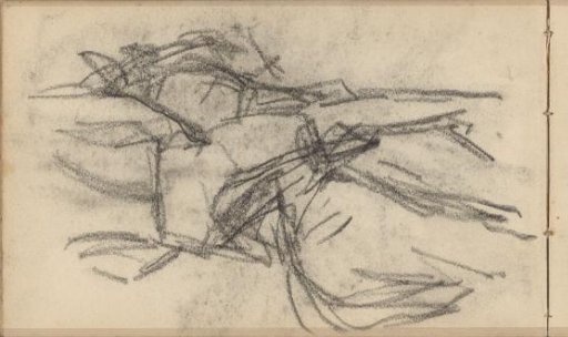 Rider