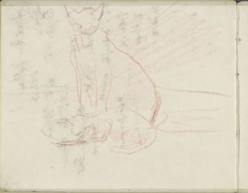 Two cats