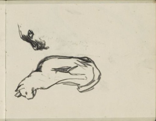 Two studies of a cat