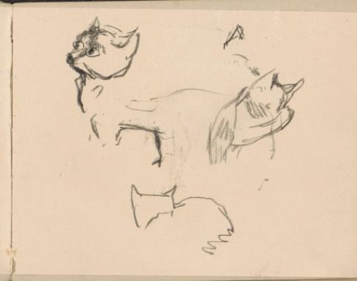 Cats