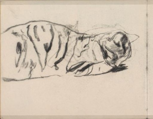 Recumbent cat