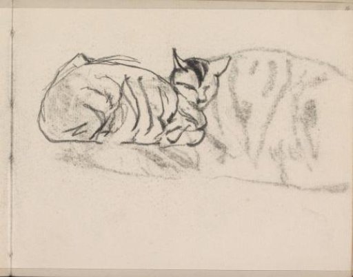 Reclining Cat