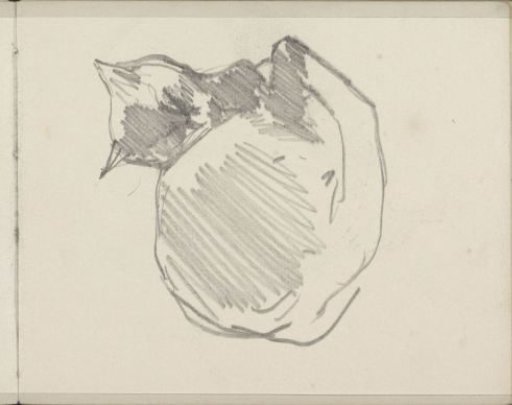 Recumbent cat