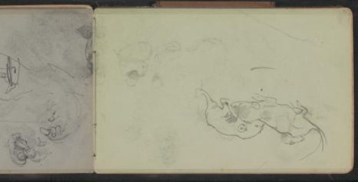 Two Animals, Possibly Rats or Mice
