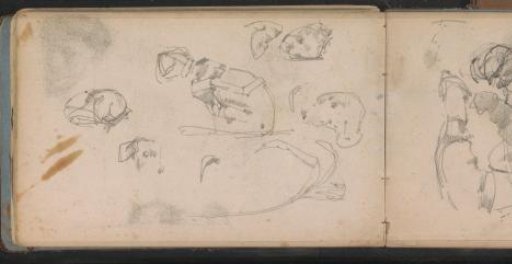 Woman and Animal Studies