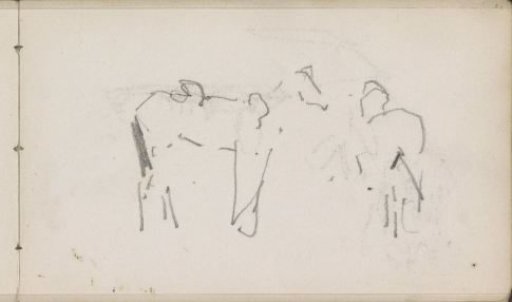 Two horses