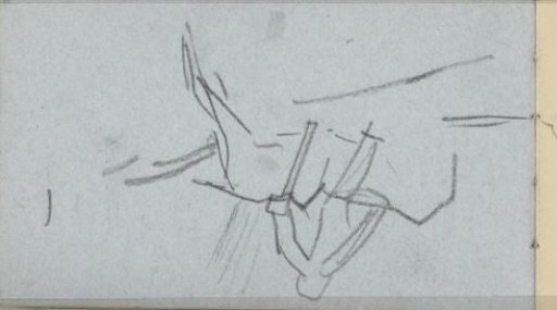Rider