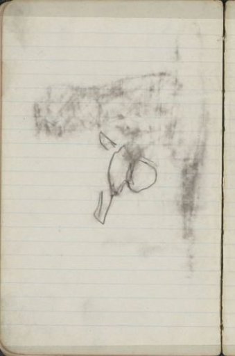 Study