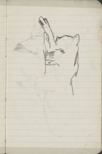 Reclining Cat
