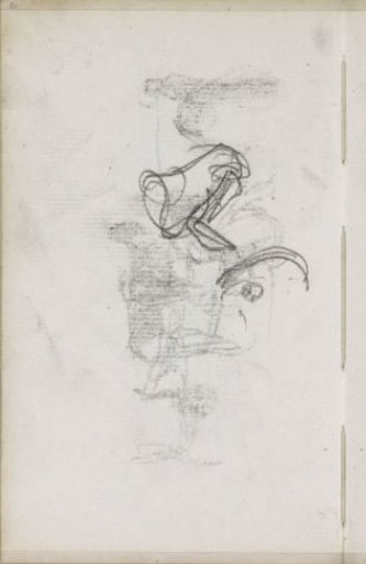 Study, possibly of a cow's head