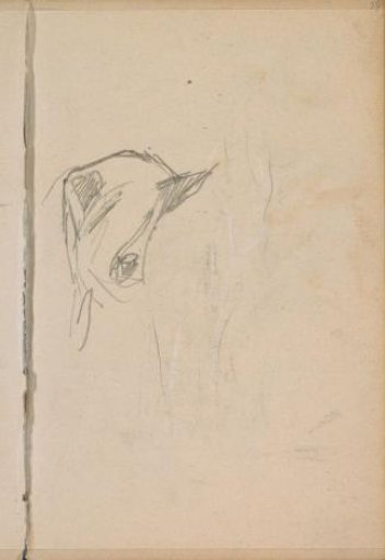 Study, possibly of a horse's head