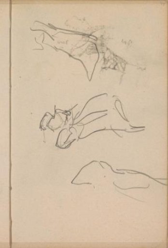 Study Sheet