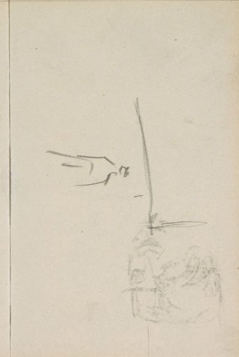 Study
