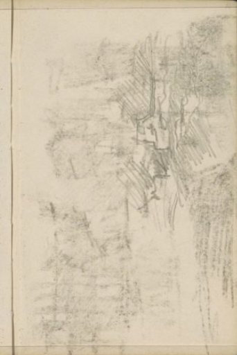 Study
