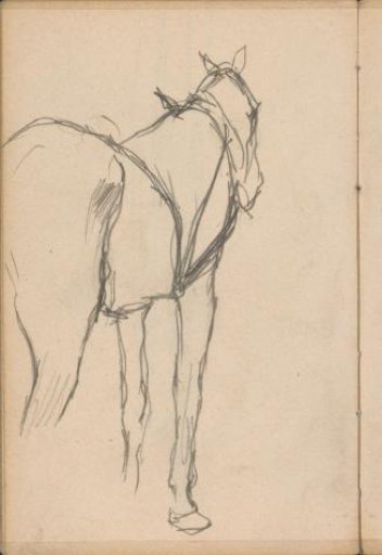 Horse with harness