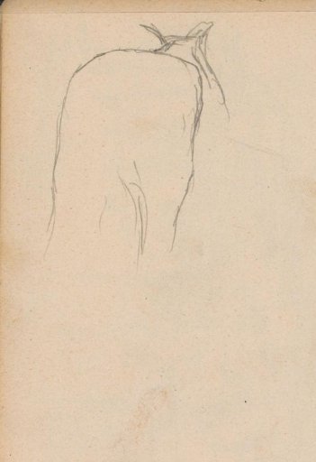 Horse, Seen from Behind