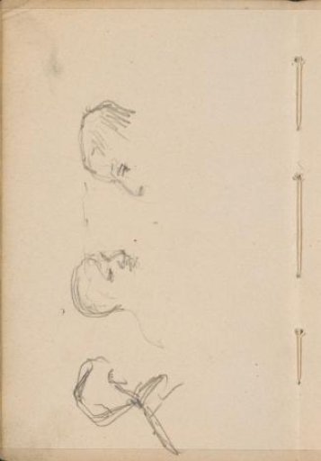 Study sheet with male heads
