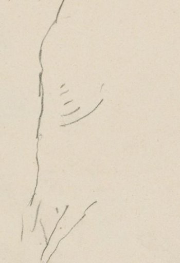Study, possibly of a horse's back