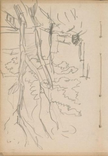 Trees on the Overtoom in Amsterdam